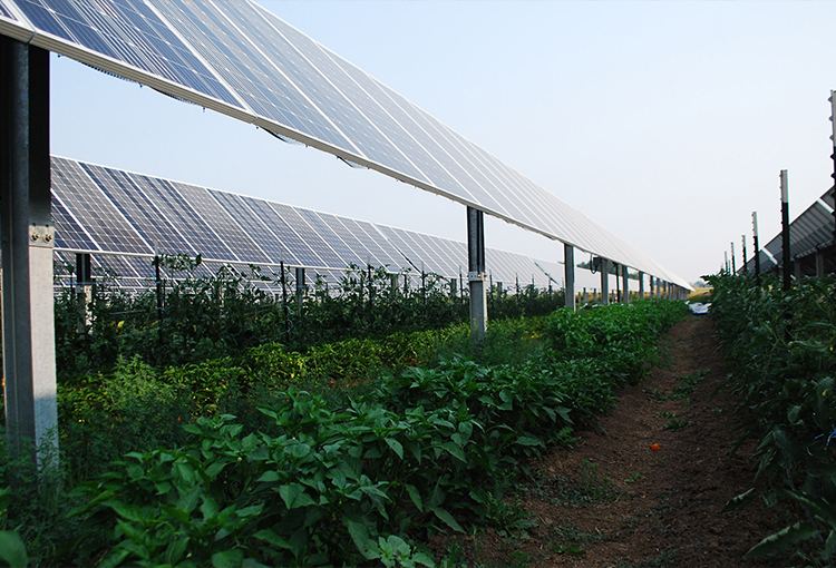Agrivoltaic solar system